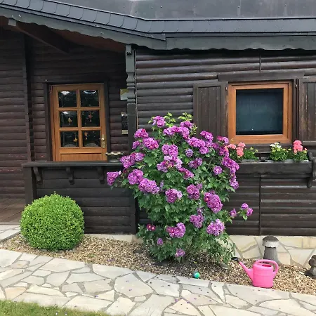 Holzhaus Harz Villa Schielo Exterior photo